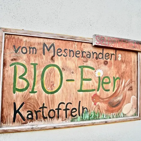 Mutters Apartmán Innsbruck